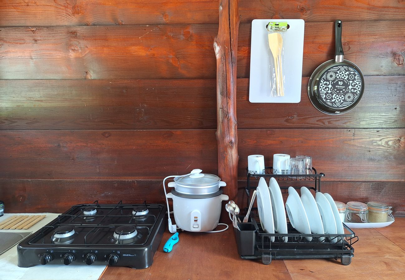 Bungalow en Fakarava  - FAKARAVA -  Bungalow SeaBreeze  1 Bungalow en Fakarava  - FAKARAVA -  Bungalow SeaBreeze  1