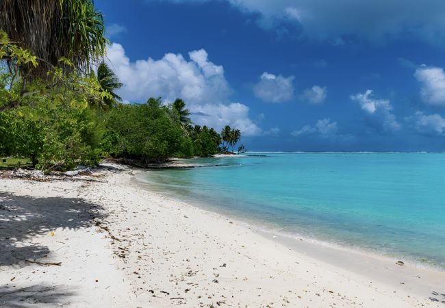 Estudio en Vaiea - MAUPITI AHUURA FARE ITI 