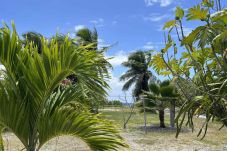 Alquiler por habitaciones en Tiputa - RANGIROA- Chambre familiale Chez Guy 
