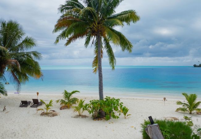 Casa en Matira - BORA BORA - Lagoon House  Casa en Matira - BORA BORA - Lagoon House