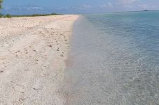 Estudio en Rotoava - FAKARAVA - Fare Tuaniu Reka