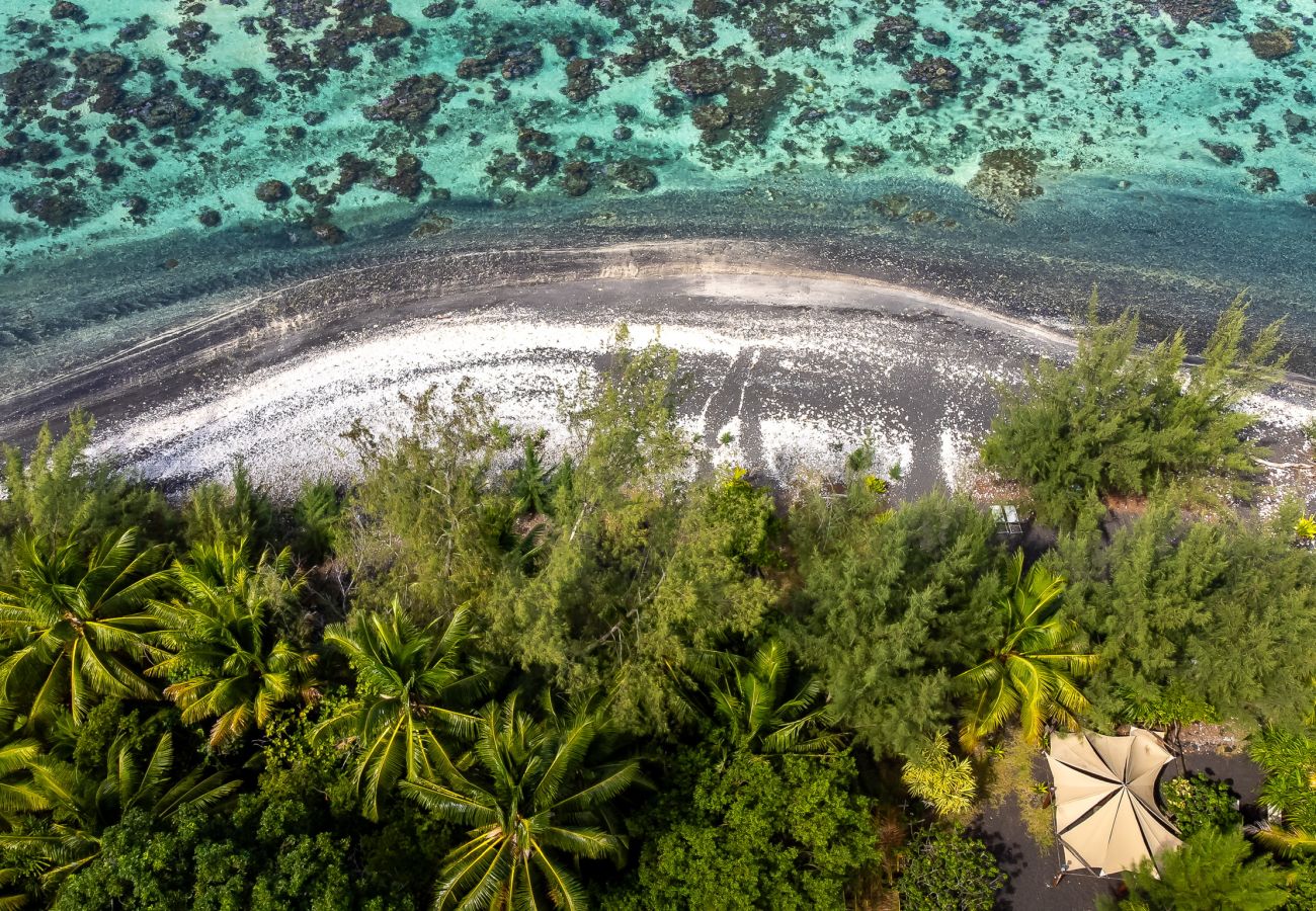 Estudio en Papara - TAHITI -Studio ManoMano Taharu'u