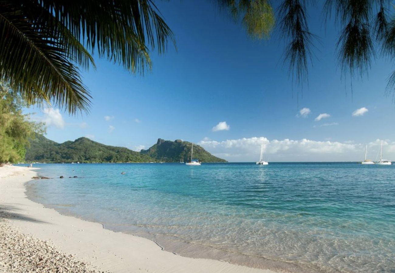 Casa en Fare - HUAHINE-Miki Miki Lodge