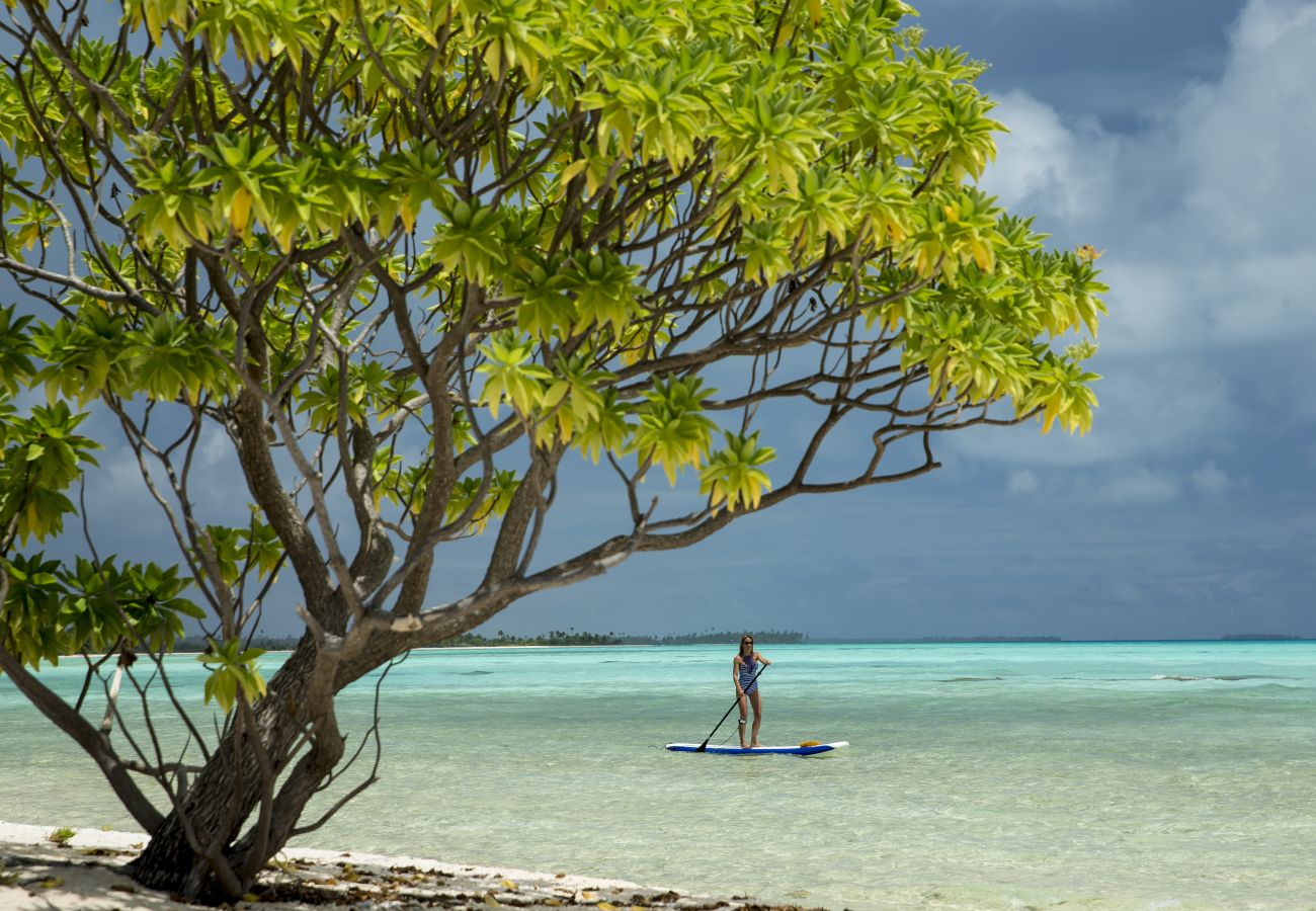 Villa en Tuherahera - TIKEHAU-Experience unique sur motu privé en pension complète  Villa en Tuherahera - TIKEHAU-Experience unique sur motu privé en pension complète