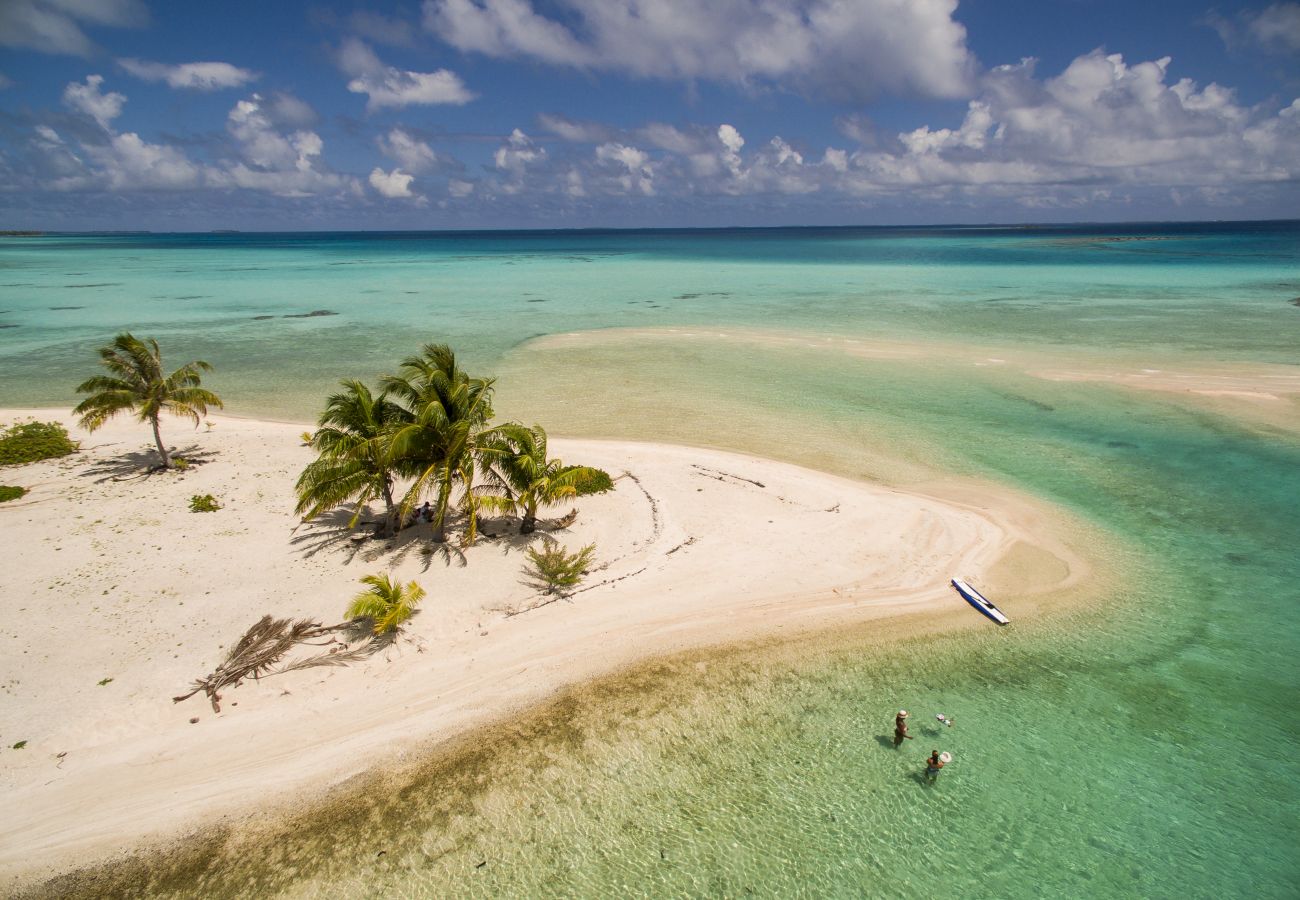 Villa en Tuherahera - TIKEHAU-Experience unique sur motu privé en pension complète  Villa en Tuherahera - TIKEHAU-Experience unique sur motu privé en pension complète
