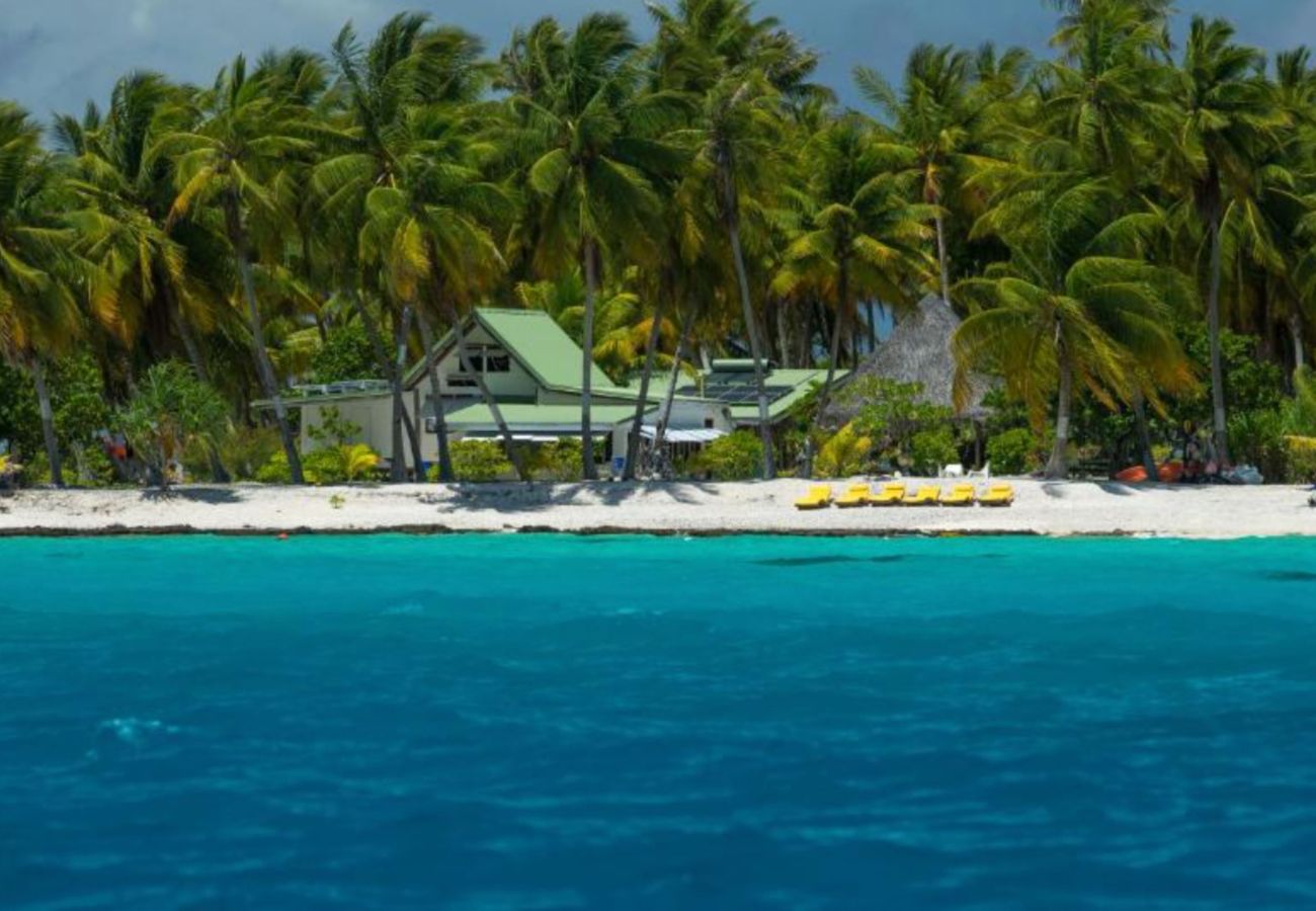 Villa en Tuherahera - TIKEHAU-Experience unique sur motu privé en pension complète  Villa en Tuherahera - TIKEHAU-Experience unique sur motu privé en pension complète