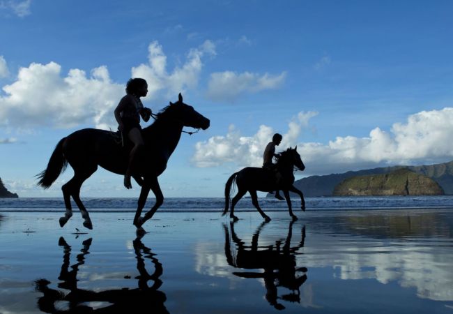 Estudio en Atuona -  HIVA OA - Enana Studio