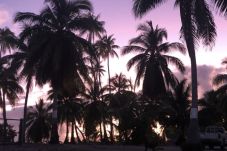 Bungalow en Tikehau - TIKEHAU - TIPAPA Fare Moana