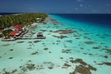 Bungalow en Rotoava - FAKARAVA- Fare veke lagoon en 1/2 pension 