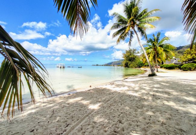 Bungalow a Tiahura - MOOREA - Fare Taina Dream  Bungalow a Tiahura - MOOREA - Fare Taina Dream