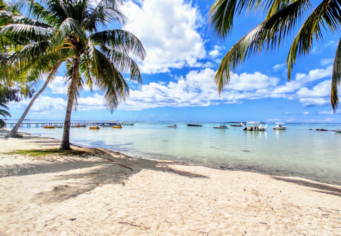 Bungalow a Tiahura - MOOREA - Fare Taina Dream  Bungalow a Tiahura - MOOREA - Fare Taina Dream