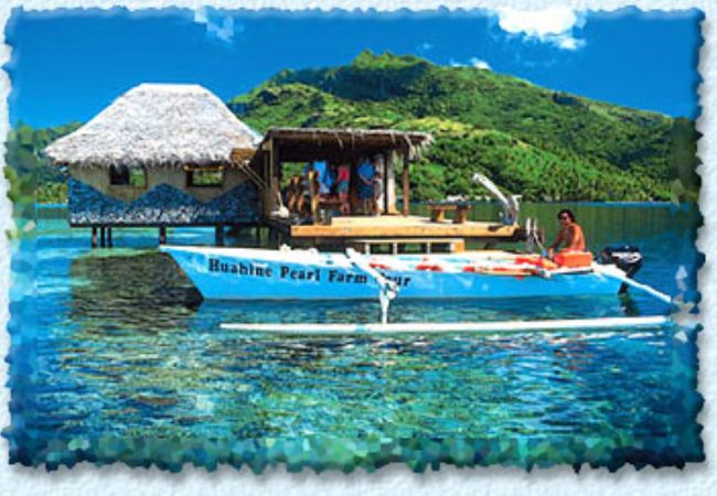 Casa a Fare - HUAHINE - Fare Ninamu Pool n°1 + Auto Casa a Fare - HUAHINE - Fare Ninamu Pool n°1 + Auto