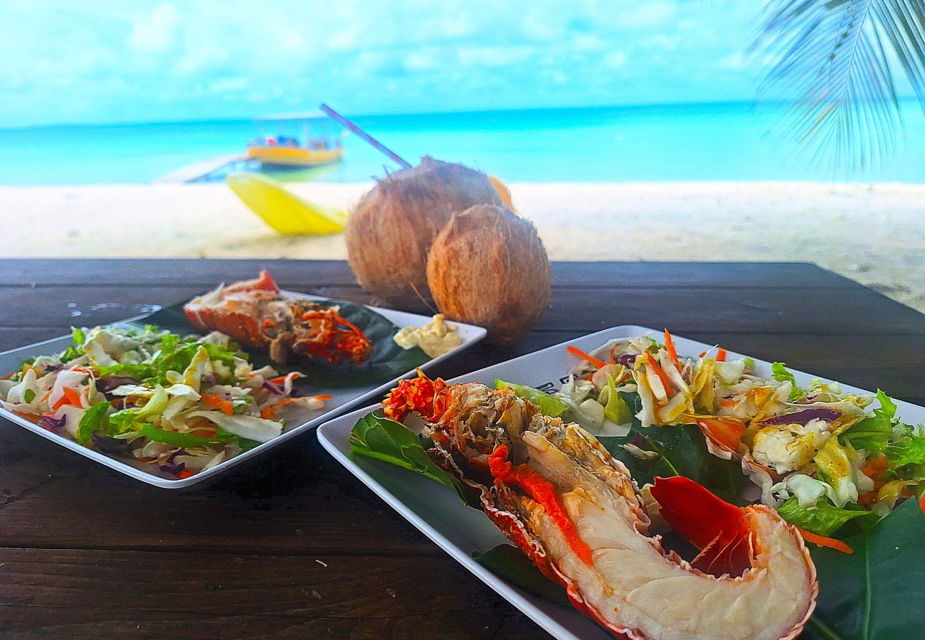 Affitto per camere a Tikehau - TIKEHAU - Bungalow Pacific Beach Affitto per camere a Tikehau - TIKEHAU - Bungalow Pacific Beach