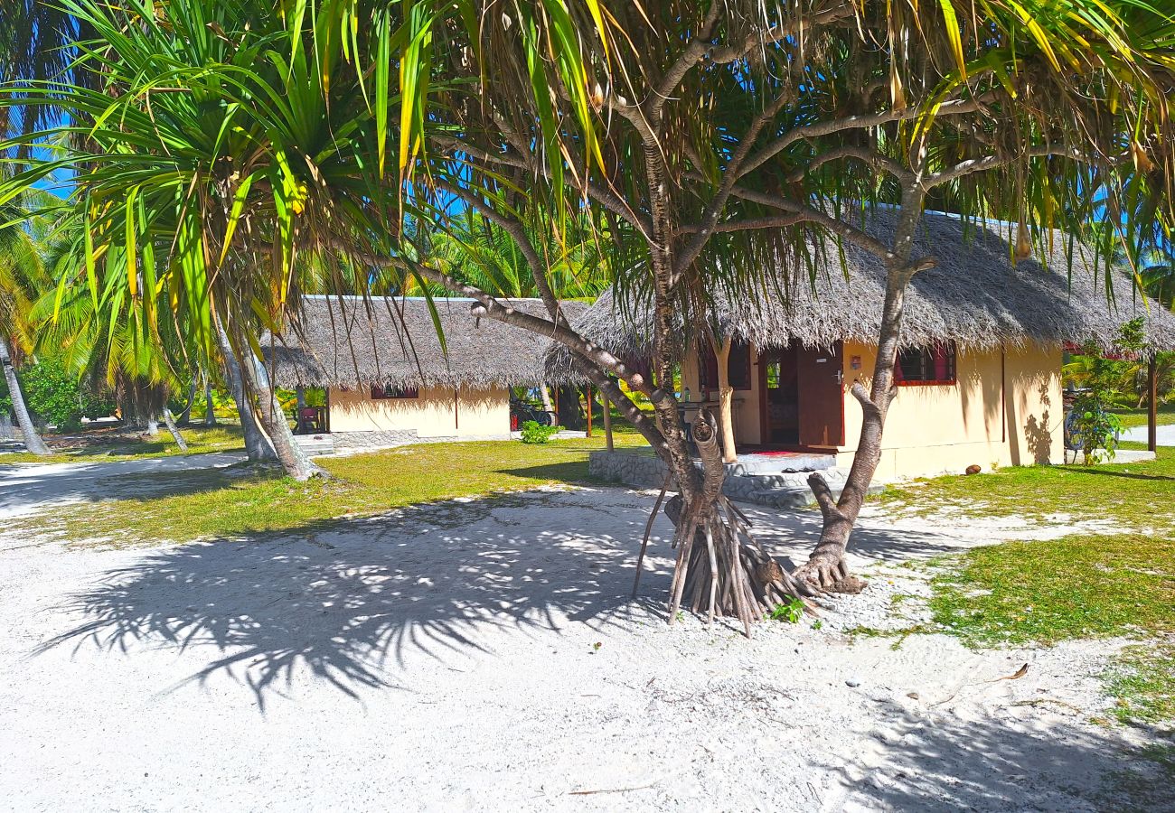 Affitto per camere a Tikehau - TIKEHAU - Bungalow Pacific Beach Affitto per camere a Tikehau - TIKEHAU - Bungalow Pacific Beach