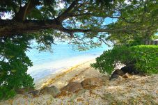 Casa a Haapiti - MOOREA - Fare Tiki Beach