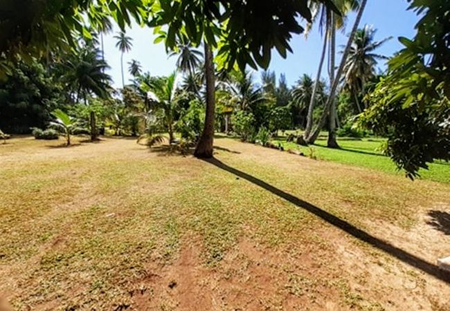 Bungalow a Tiahura - MOOREA - Local Spirit 1 Bungalow a Tiahura - MOOREA - Local Spirit 1