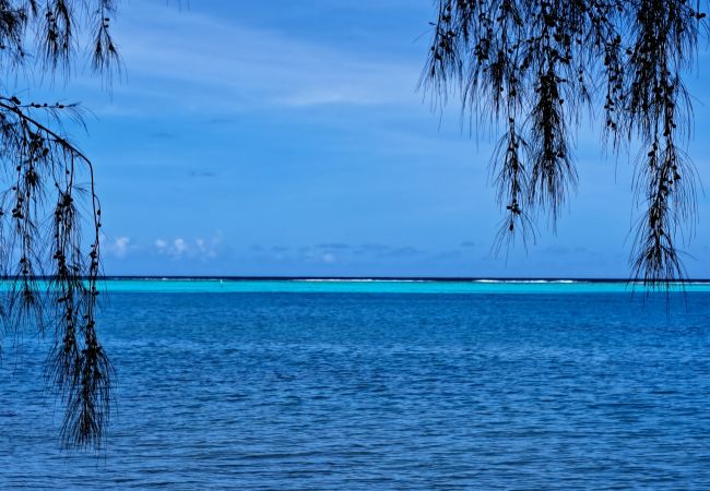 Bungalow a Tiahura - MOOREA - Local Spirit 1 Bungalow a Tiahura - MOOREA - Local Spirit 1