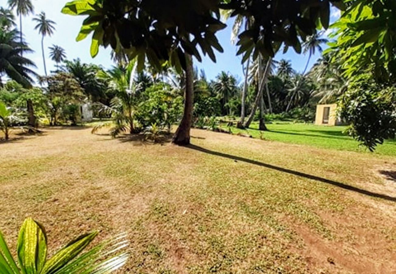 Il grande giardino Il giardino