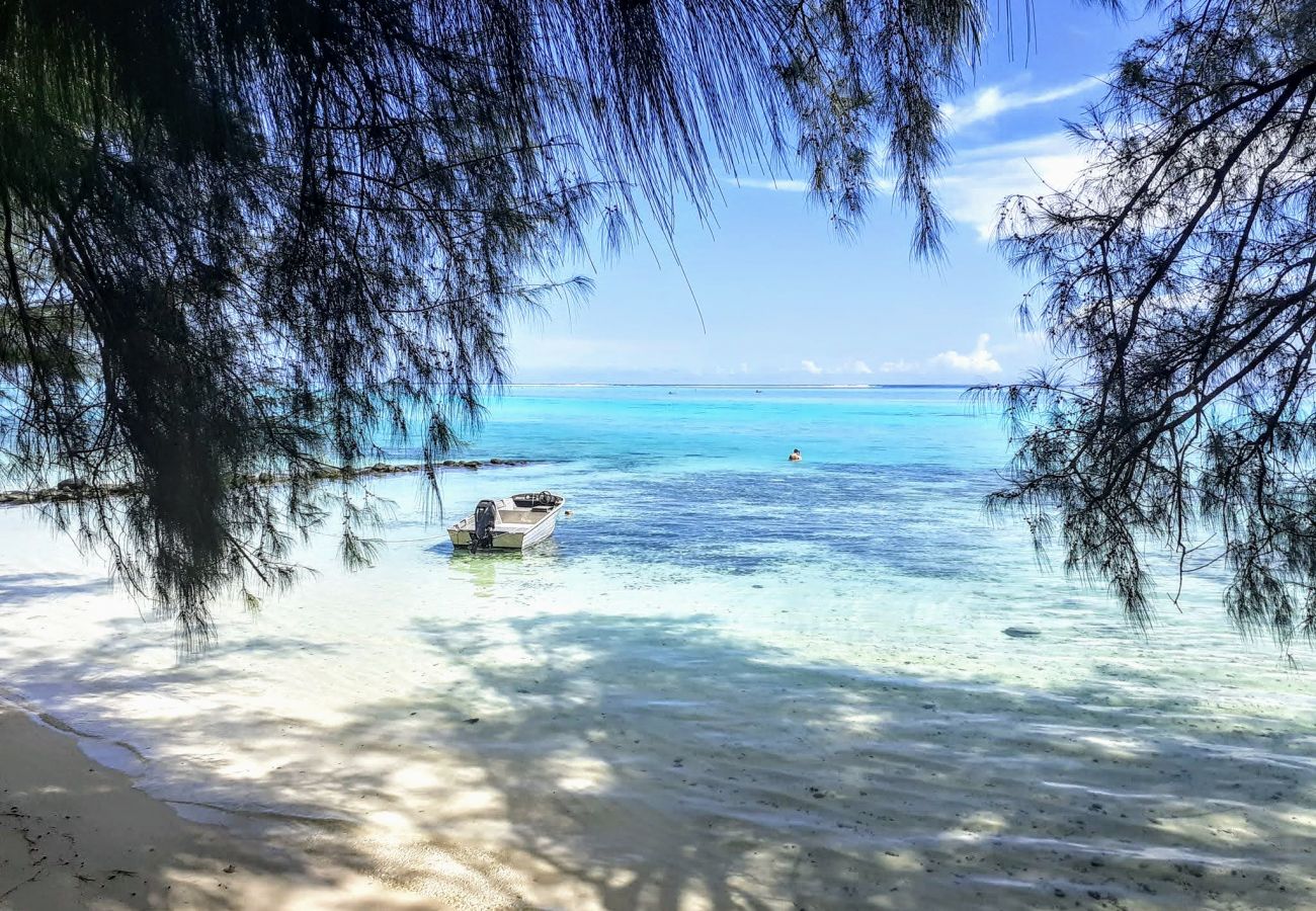 La spiaggia di sabbia bianca La spiaggia