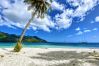 Bungalow a Pihaena - MOOREA - CHILL & RELAX Bungalow a Pihaena - MOOREA - CHILL & RELAX