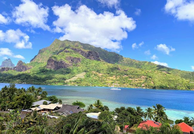 Appartamento a Paopao - MOOREA - PaoPao Cottage Appartamento a Paopao - MOOREA - PaoPao Cottage