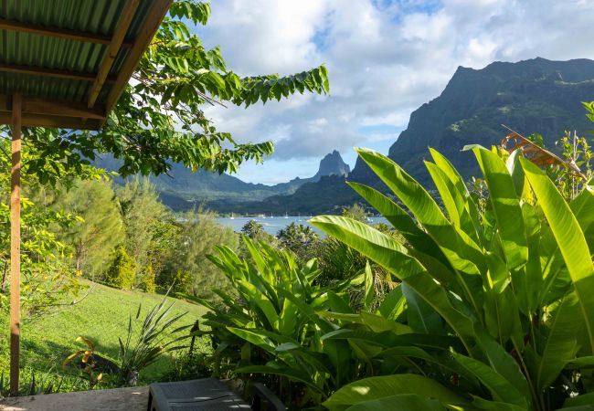 Appartamento a Paopao - MOOREA - PaoPao Cottage Appartamento a Paopao - MOOREA - PaoPao Cottage