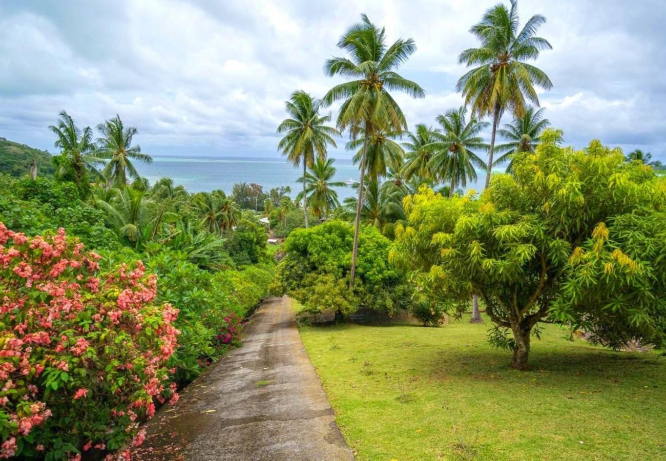 Bungalow a Nunue - BORA - Holidays Bungalow 2 Bungalow a Nunue - BORA - Holidays Bungalow 2