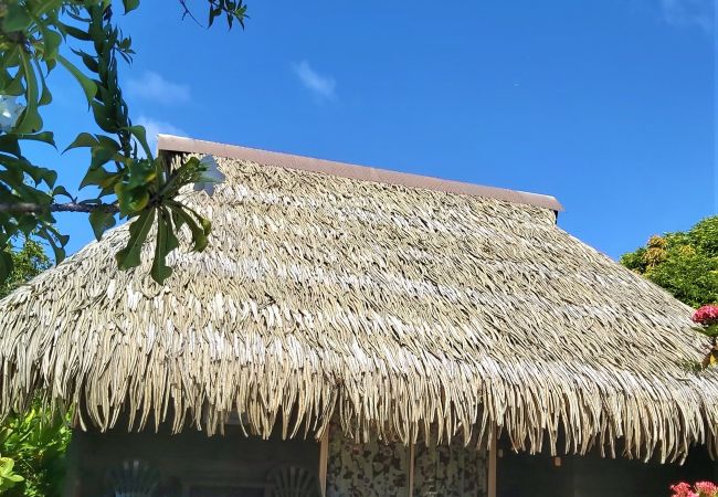 Affitto per camere a Fare - HUAHINE - Bungalow Opuhi 3p Affitto per camere a Fare - HUAHINE - Bungalow Opuhi 3p