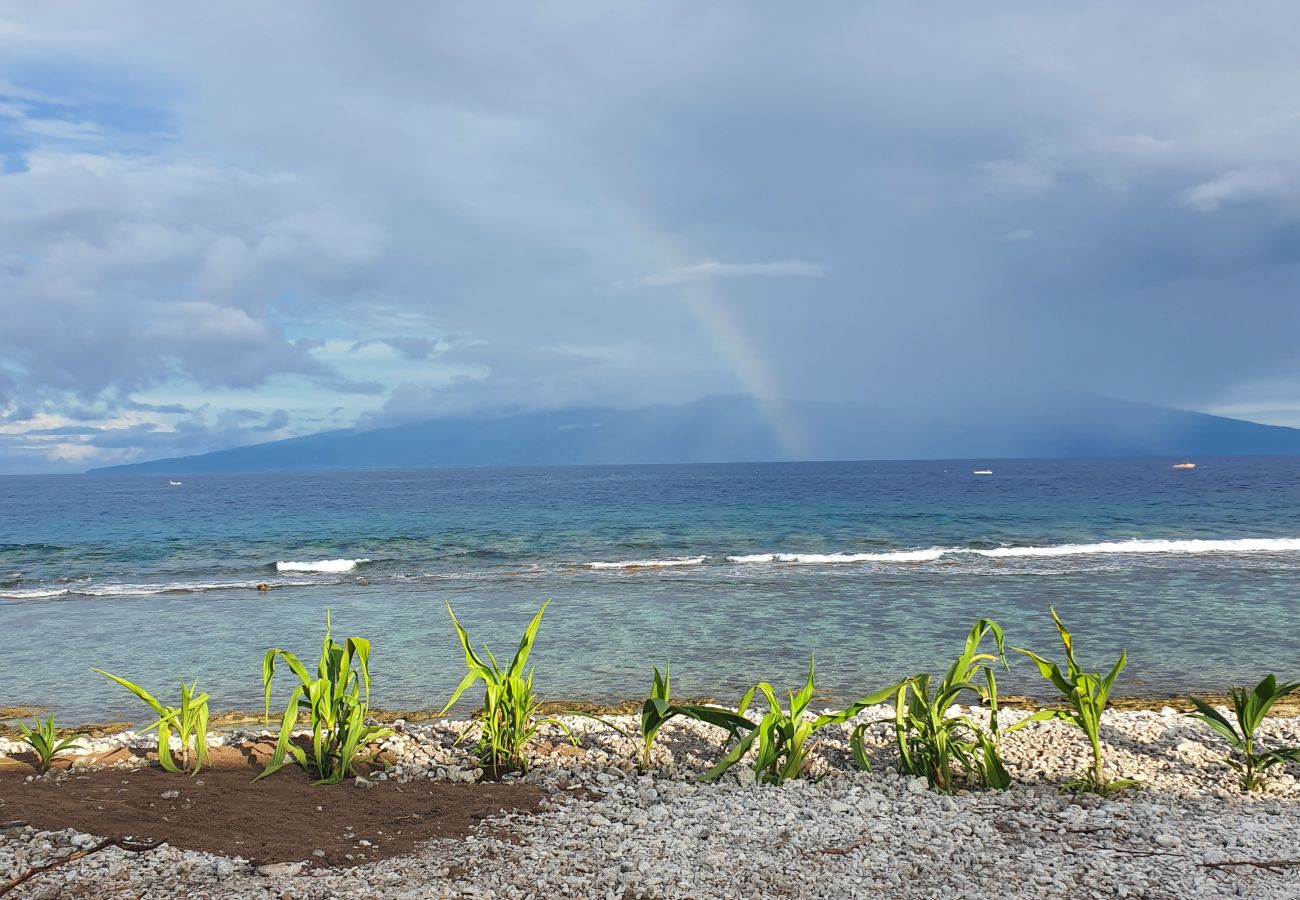 Casa a Temae - MOOREA - Fare Coraline Right Casa a Temae - MOOREA - Fare Coraline Right