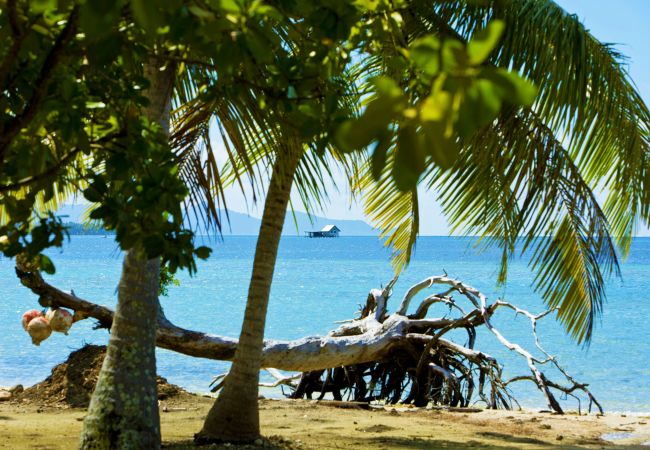 Studio a Raiatea - RAIATEA - Studio Tenape Studio a Raiatea - RAIATEA - Studio Tenape