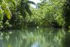 Studio a Raiatea - RAIATEA - Studio Tenape Studio a Raiatea - RAIATEA - Studio Tenape