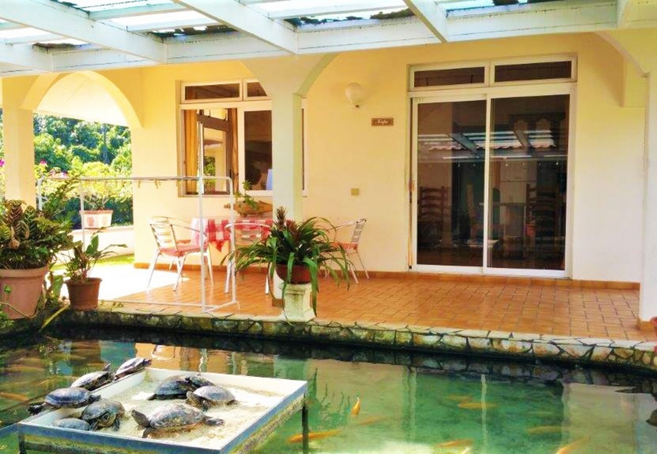 Fattoria a Papara - TAHITI - Domaine Tiamao Fattoria a Papara - TAHITI - Domaine Tiamao