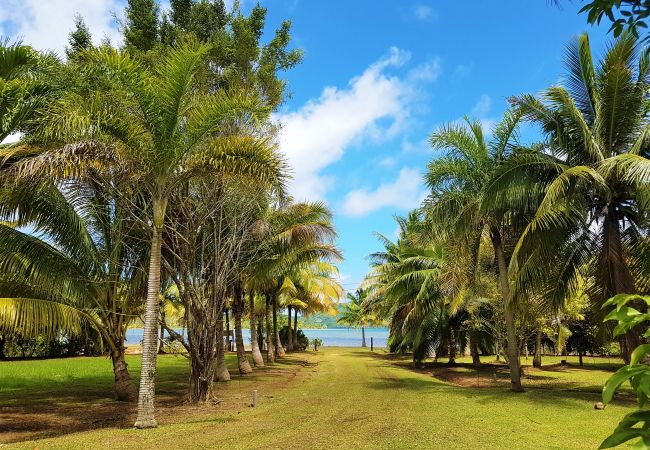Casa a Huahine-Nui - HUAHINE - Fare Teakavehere + rental car Casa a Huahine-Nui - HUAHINE - Fare Teakavehere + rental car