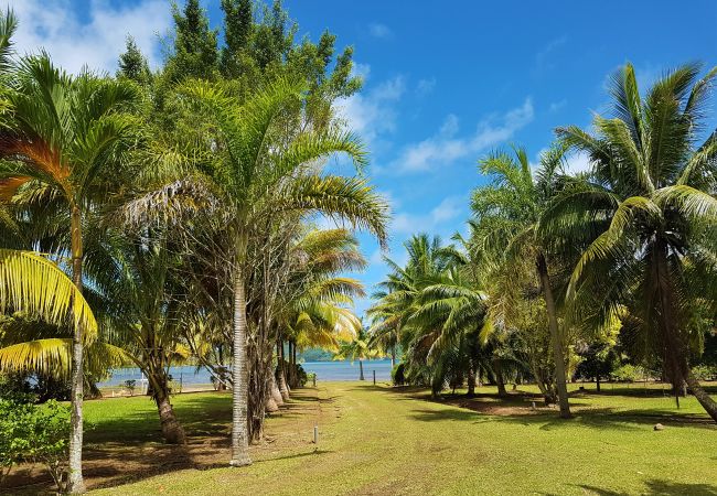 Casa a Huahine-Nui - HUAHINE - Fare Teakavehere + rental car Casa a Huahine-Nui - HUAHINE - Fare Teakavehere + rental car