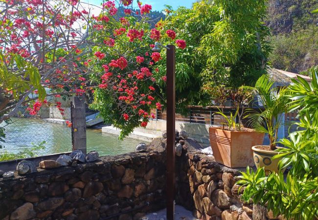 Bungalow a Tiahura - MOOREA - Bungalow Moekea Lagoon Bungalow a Tiahura - MOOREA - Bungalow Moekea Lagoon