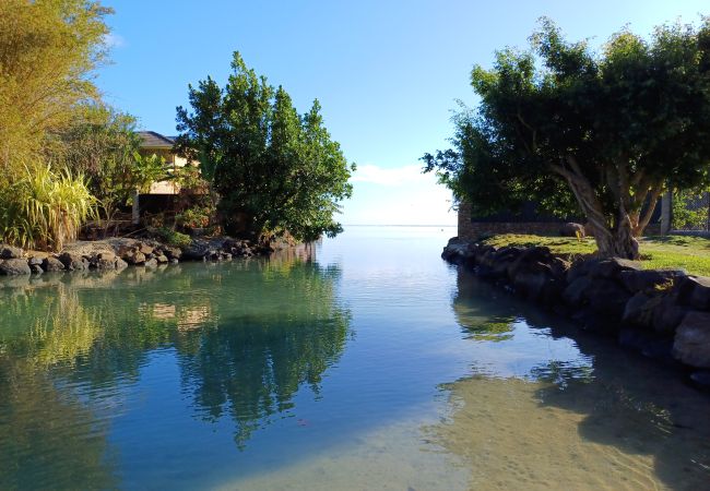 Bungalow a Tiahura - MOOREA - Bungalow Moekea Lagoon Bungalow a Tiahura - MOOREA - Bungalow Moekea Lagoon