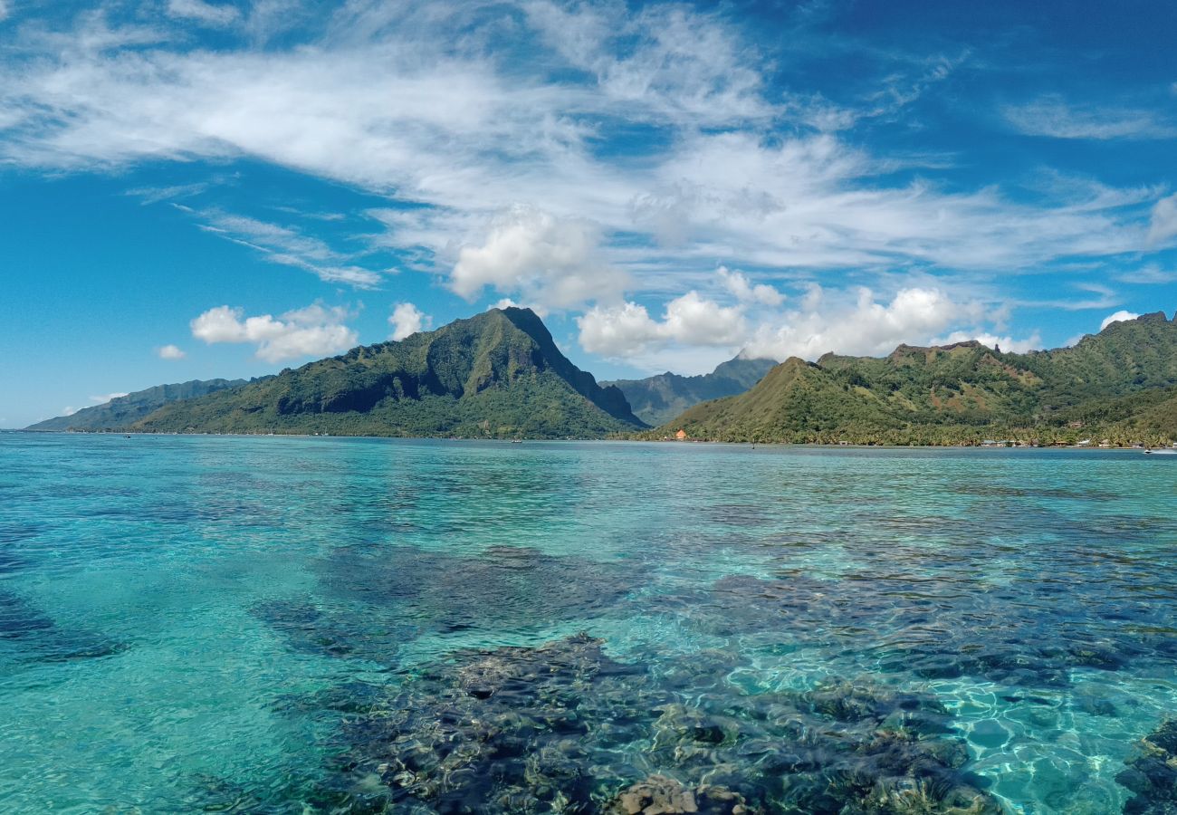 Bungalow a Tiahura - MOOREA - Bungalow Moekea Lagoon Bungalow a Tiahura - MOOREA - Bungalow Moekea Lagoon