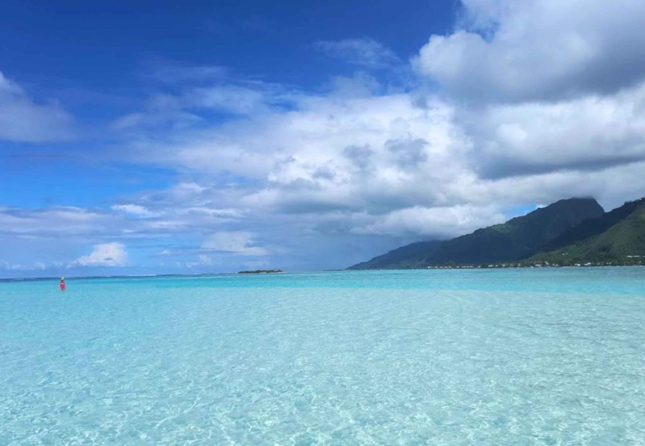 Bungalow a Tiahura - MOOREA - Bungalow Moekea Lagoon Bungalow a Tiahura - MOOREA - Bungalow Moekea Lagoon