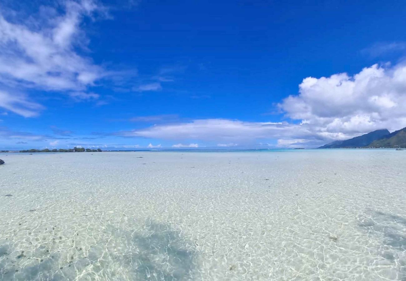 Bungalow a Tiahura - MOOREA - Bungalow Moekea Lagoon Bungalow a Tiahura - MOOREA - Bungalow Moekea Lagoon