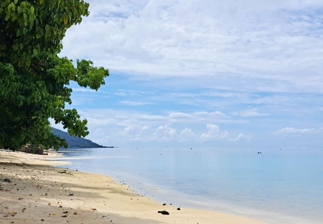 Bungalow a Haapiti - MOOREA - Fare Vare'au Bungalow a Haapiti - MOOREA - Fare Vare'au