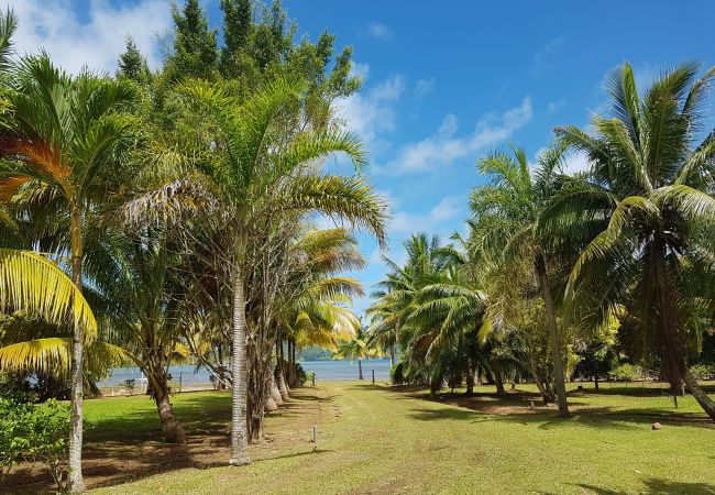 Casa a Huahine-Nui - HUAHINE - Fare Teakavehere Tipanier + rental car Casa a Huahine-Nui - HUAHINE - Fare Teakavehere Tipanier + rental car