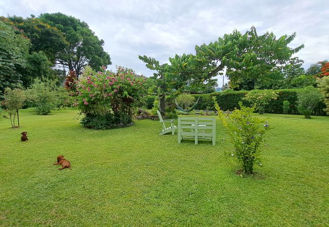 Affitto per camere a Teva I Uta - TAHITI - Mataiea BnB Affitto per camere a Teva I Uta - TAHITI - Mataiea BnB