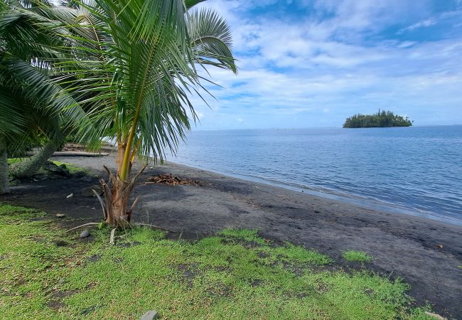 Affitto per camere a Teva I Uta - TAHITI - Mataiea BnB Affitto per camere a Teva I Uta - TAHITI - Mataiea BnB