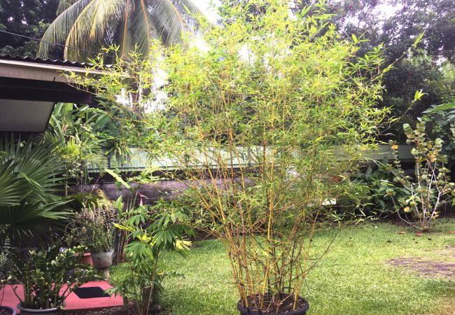 Studio a Pirae - TAHITI - Studio Ata Studio a Pirae - TAHITI - Studio Ata