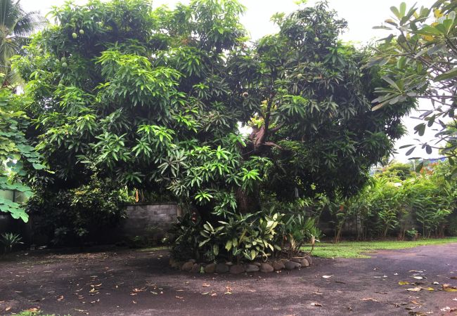 Studio a Pirae - TAHITI - Studio Ata Studio a Pirae - TAHITI - Studio Ata