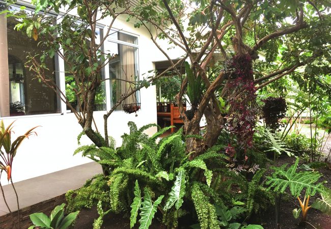 Studio a Pirae - TAHITI - Studio Ata Studio a Pirae - TAHITI - Studio Ata