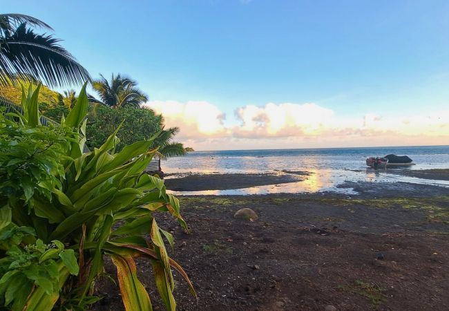 Bungalow a Taiarapu-Ouest -  TAHITI ITI - Bungalow HAVAE Bungalow a Taiarapu-Ouest -  TAHITI ITI - Bungalow HAVAE