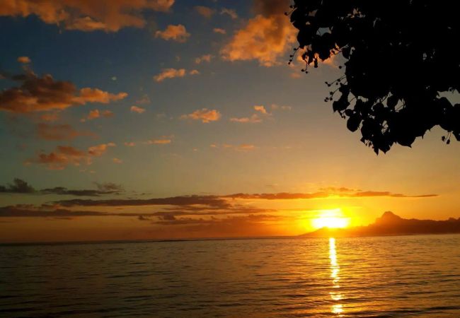 Casa a Punaauia - TAHITI - FARE RAU PITI  Casa a Punaauia - TAHITI - FARE RAU PITI