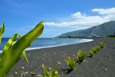 Casa a Papara - TAHITI - Taharuu Bungalow Surf Hoe 