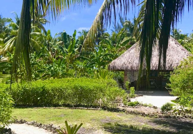 Bungalow a Hipu - TAHAA - Motu Lodge Moana Bungalow a Hipu - TAHAA - Motu Lodge Moana